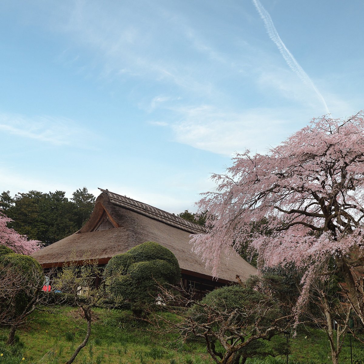 🏞️ 지치부노미야 기념 공원(지치부노미야키넨코엔) 이미지 8